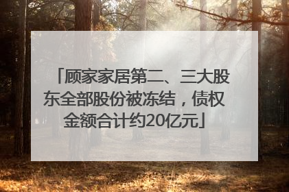 顾家家居第二、三大股东全部股份被冻结，债权金额合计约20亿元