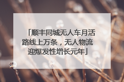 顺丰同城无人车月活路线上万条，无人物流迎爆发性增长元年