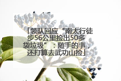领队回应“南太行徒步56公里捡出50多袋垃圾”：随手的事，还打算去武功山捡