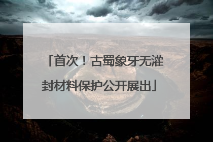 首次！古蜀象牙无灌封材料保护公开展出