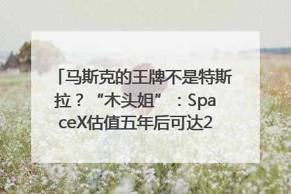 马斯克的王牌不是特斯拉？“木头姐”：SpaceX估值五年后可达2.5万亿美元！