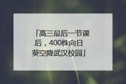 高三最后一节课后，400株向日葵空降武汉校园