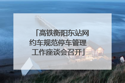 高铁衡阳东站网约车规范停车管理工作座谈会召开