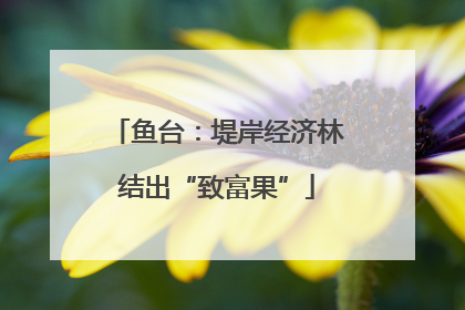 鱼台：堤岸经济林结出“致富果”