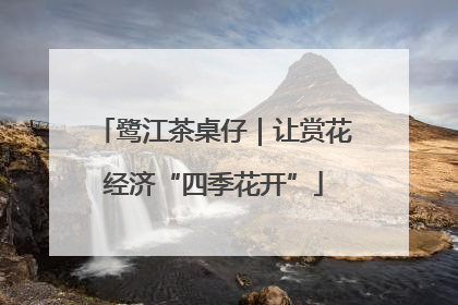 鹭江茶桌仔｜让赏花经济“四季花开”