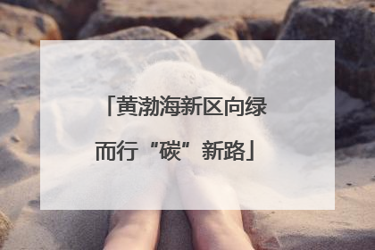 黄渤海新区向绿而行“碳”新路