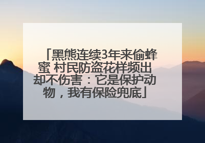 黑熊连续3年来偷蜂蜜 村民防盗花样频出却不伤害：它是保护动物，我有保险兜底