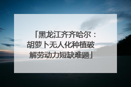 黑龙江齐齐哈尔：胡萝卜无人化种植破解劳动力短缺难题