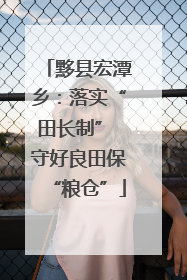 黟县宏潭乡：落实“田长制” 守好良田保“粮仓”