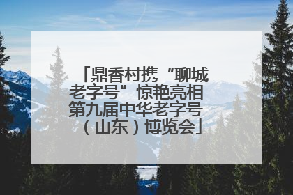 鼎香村携“聊城老字号”惊艳亮相第九届中华老字号（山东）博览会