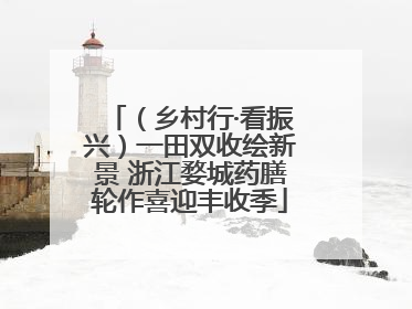 （乡村行·看振兴）一田双收绘新景 浙江婺城药膳轮作喜迎丰收季