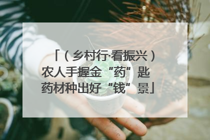 （乡村行·看振兴）农人手握金“药”匙 药材种出好“钱”景