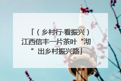 （乡村行·看振兴）江西信丰一片茶叶“沏”出乡村振兴路