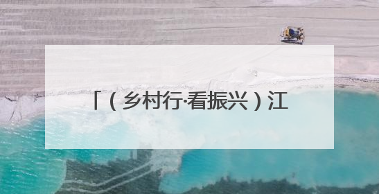 （乡村行·看振兴）江西瑞昌：发展特色产业 激发乡村内生动力
