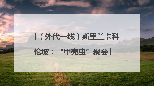 （外代一线）斯里兰卡科伦坡：“甲壳虫”聚会