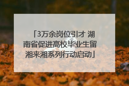 3万余岗位引才 湖南省促进高校毕业生留湘来湘系列行动启动