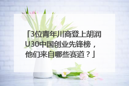 3位青年川商登上胡润U30中国创业先锋榜，他们来自哪些赛道？