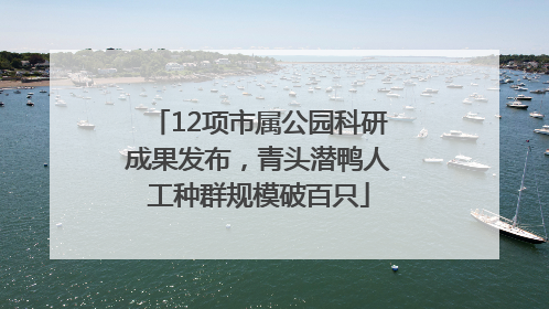12项市属公园科研成果发布，青头潜鸭人工种群规模破百只