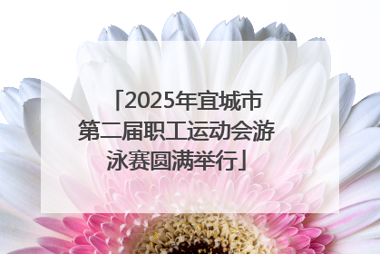 2025年宜城市第二届职工运动会游泳赛圆满举行
