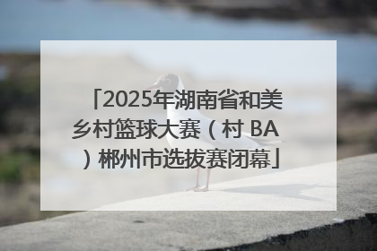 2025年湖南省和美乡村篮球大赛（村 BA）郴州市选拔赛闭幕