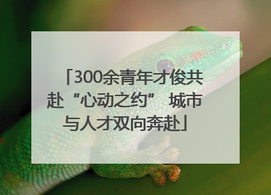 300余青年才俊共赴“心动之约” 城市与人才双向奔赴