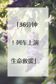 36分钟！列车上演生命救援