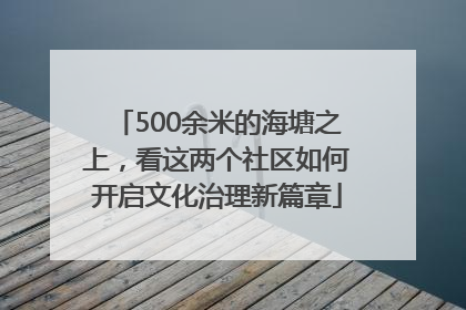 500余米的海塘之上，看这两个社区如何开启文化治理新篇章